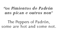 Pimientos de padron : Some are hot some are not