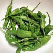 Shisito pepper
